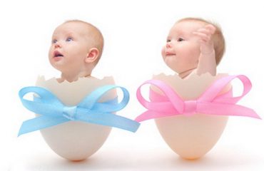 تاثیر تغذیه بر جنسیت جنین