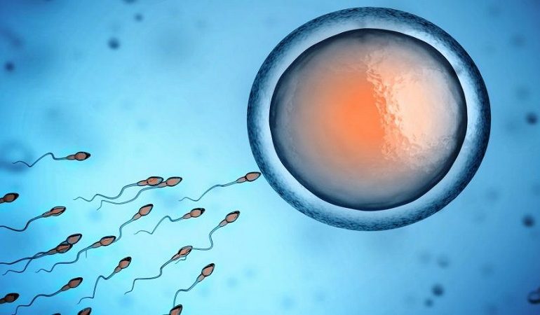 تلقیح داخل رحمی اسپرم IUI درمانی برای ناباروری