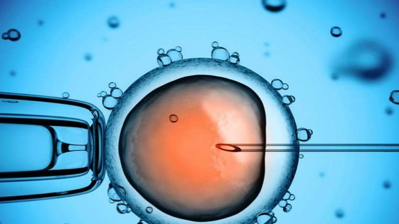 درمان ناباروری به روش IVF یا لقاح خارج از رحم