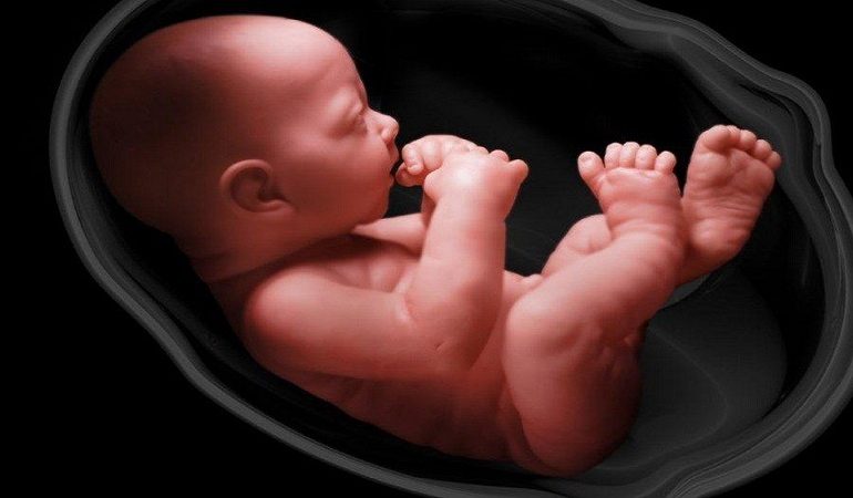 غربالگری نقص مادرزادی جنین | متخصص زنان بجنورد