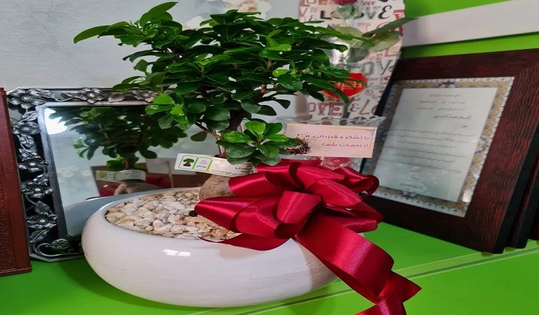 هدیه خانم بیدل عزیز