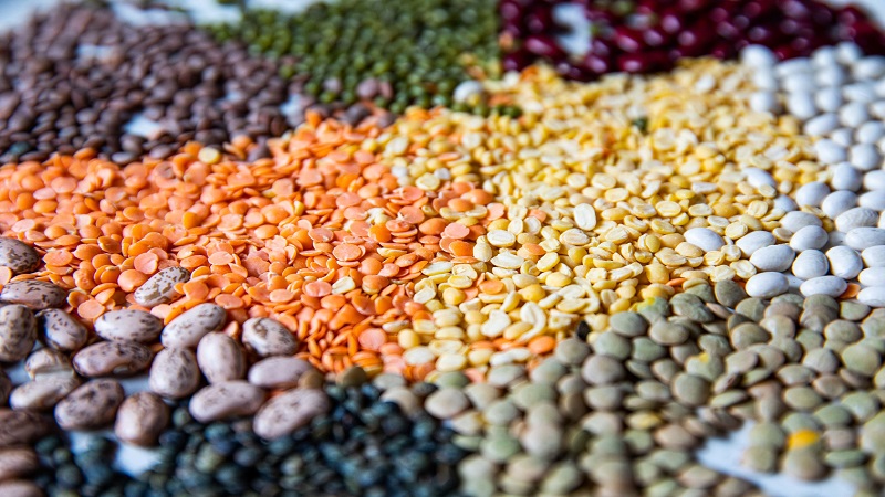متخصص زنان بجنورد | اصول تغذیه سالم در دوران پریودی 